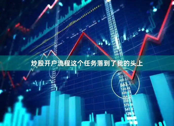 炒股开户流程这个任务落到了我的头上