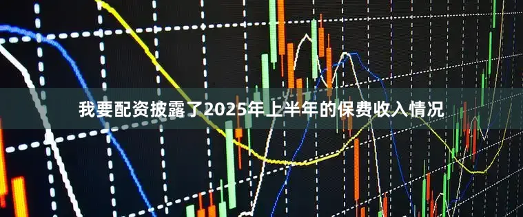 我要配资披露了2025年上半年的保费收入情况