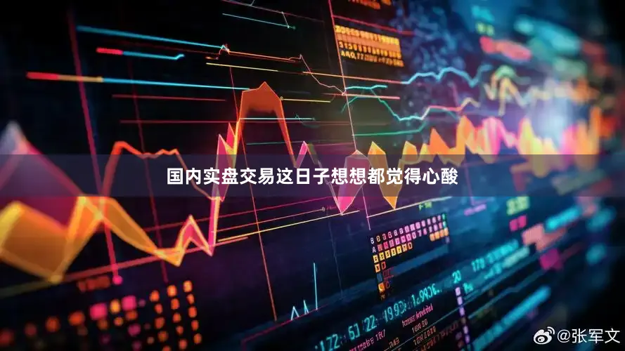 国内实盘交易这日子想想都觉得心酸